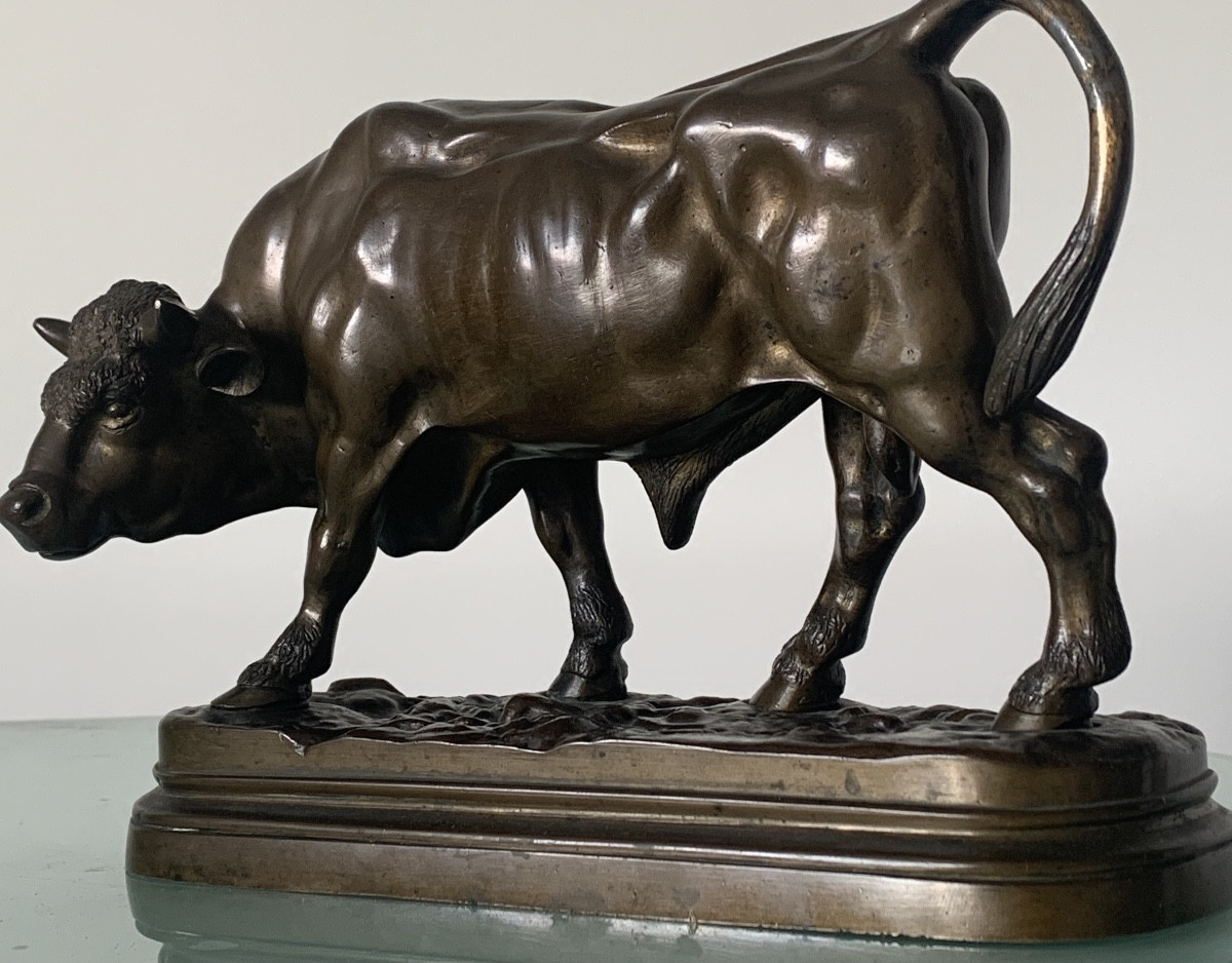 Bull By Louis Vidal (the Blind) Known As Vidal-navatel (1831-1892) - -photo-6
