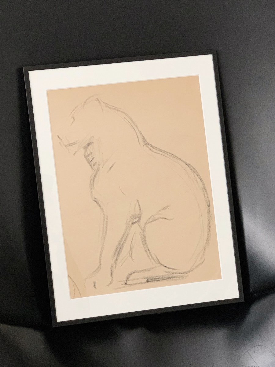 Victor Prouvé (1858-1943), Panther Study, Pencil On Paper-photo-2