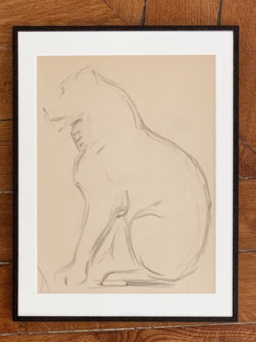 Victor Prouvé (1858-1943), Panther Study, Pencil On Paper