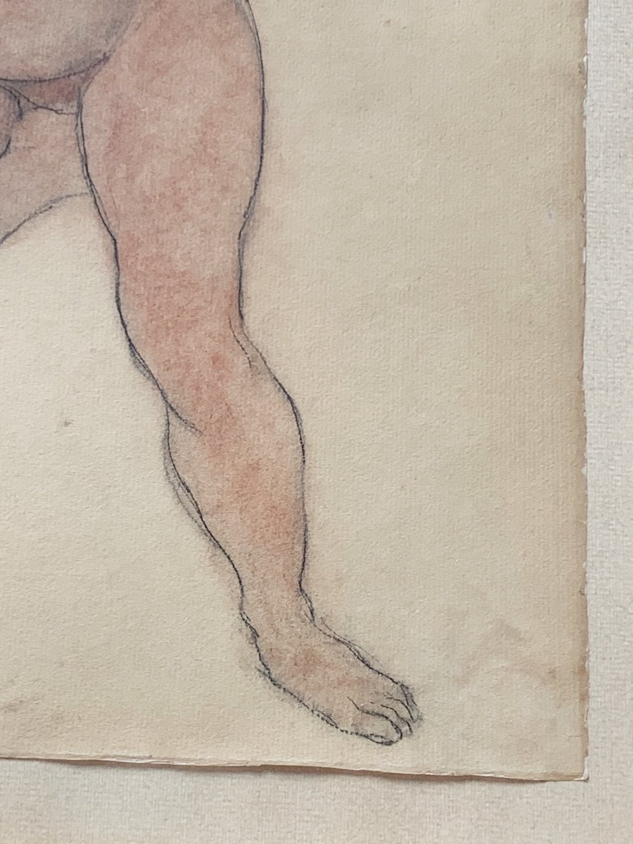 Léon-ernest Drivier (1878-1951), Female Nude, Black And Sanguine Stone On Paper-photo-3