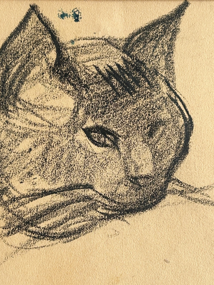 Victor Prouvé (1858-1943), étude De Tête De Chat, Fusain Sur Papier-photo-2