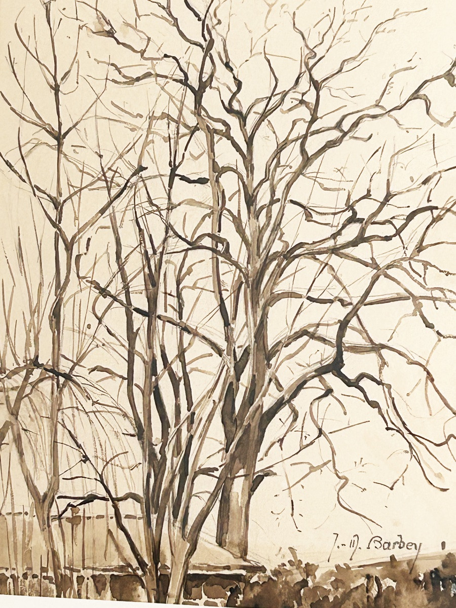 Jeanne-marie Barbey (1876-1960), Trees In Winter, Brown Ink Wash And Graphite Pencil-photo-4