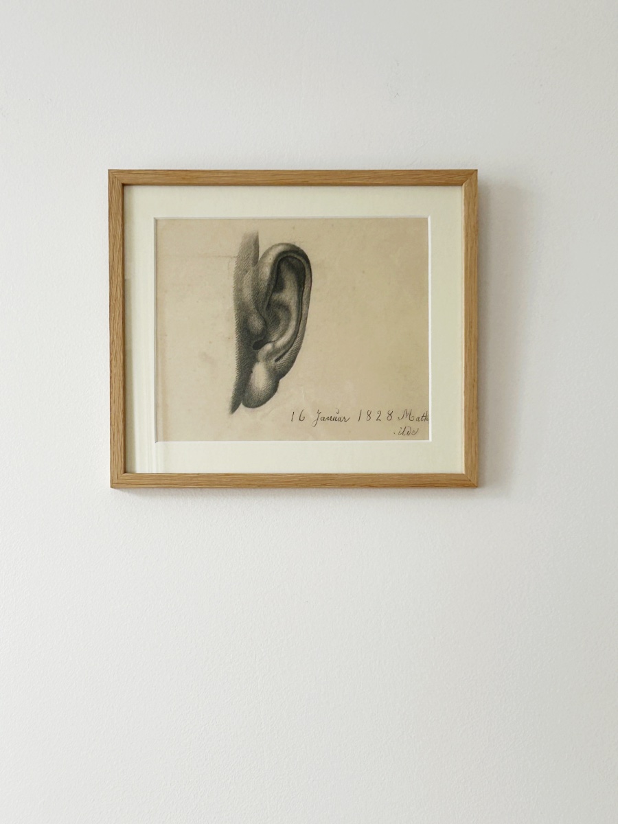 19th-century Drawing Signed Mathilde, Study Of An Ear-photo-1
