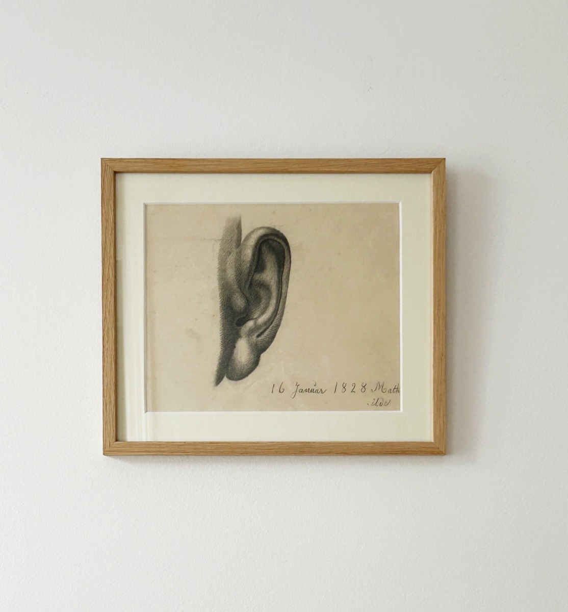 19th-century Drawing Signed Mathilde, Study Of An Ear