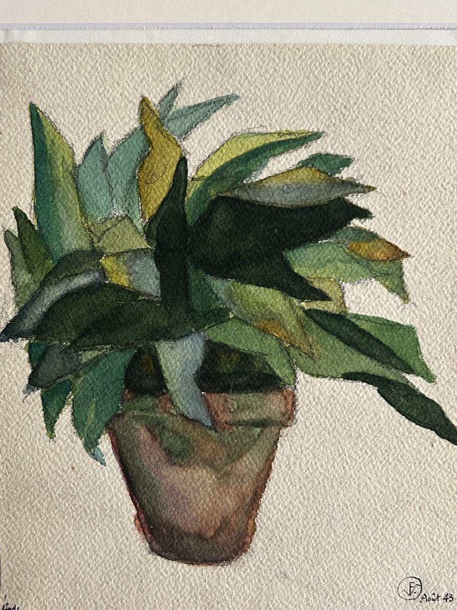 Felix Schivo (1924–2006), Green Plant, 1943, Watercolor-photo-4