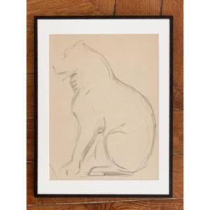 Victor Prouvé (1858-1943), Panther Study, Pencil On Paper