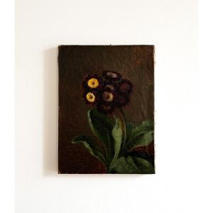 Henriette De Longchamp (1814-1887), Downy Primrose, Oil On Canvas