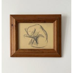 Victor Prouvé (1858-1943), Study Of A Cat Grooming Itself, Charcoal On Paper