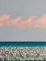 1564039-alb-68482c02dddae.jpg