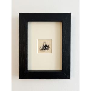 Louise Hervieu (1878-1954), Fly, Circa 1925, Charcoal And White Chalk On Paper