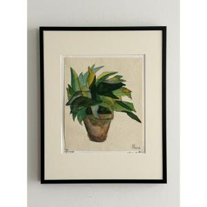 Felix Schivo (1924-2006), Plante, 1943, aquarelle