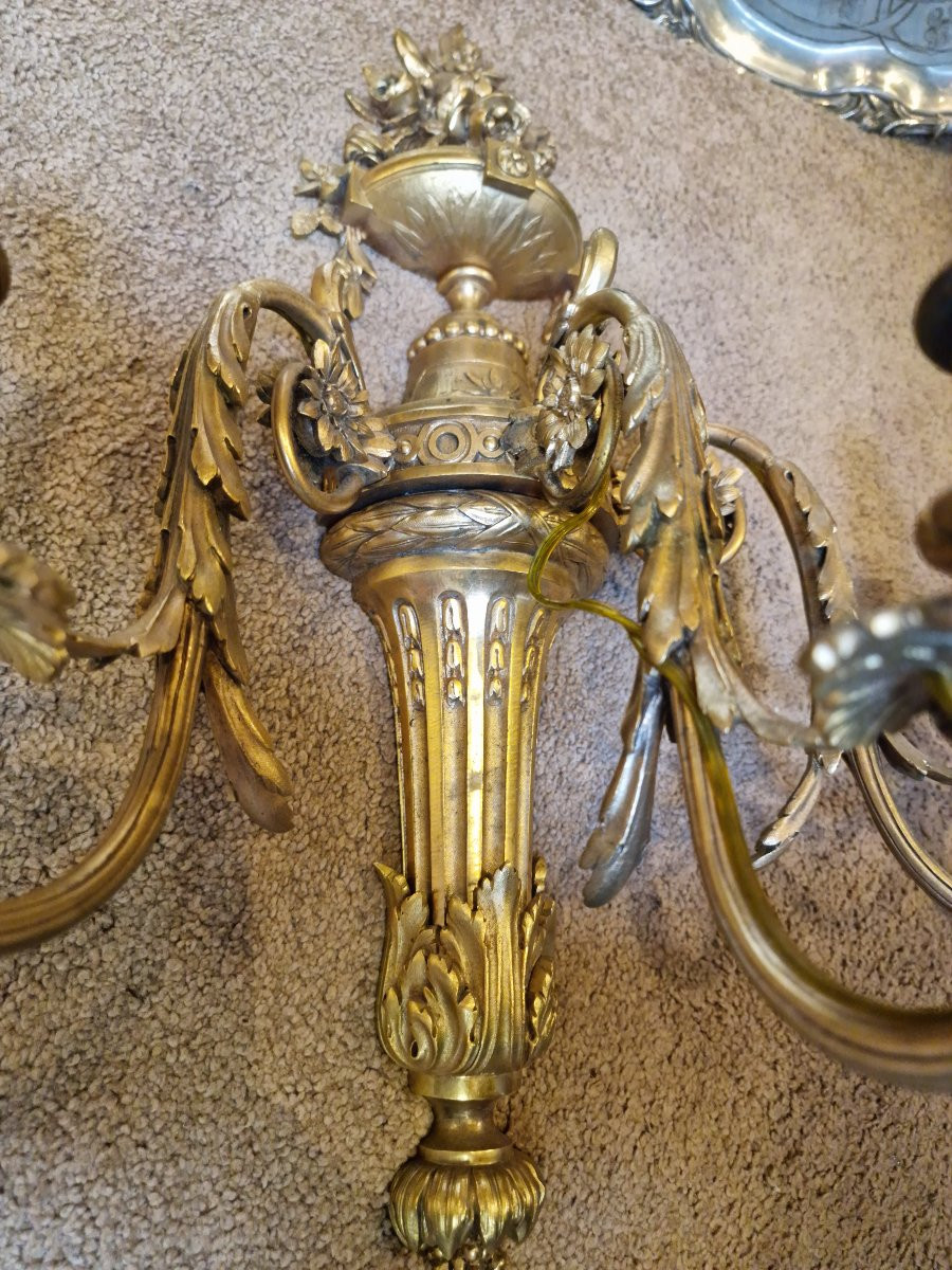 Important Pair Of Gilt Bronze Wall Lights , Exceptional Quality, Electrified -photo-5