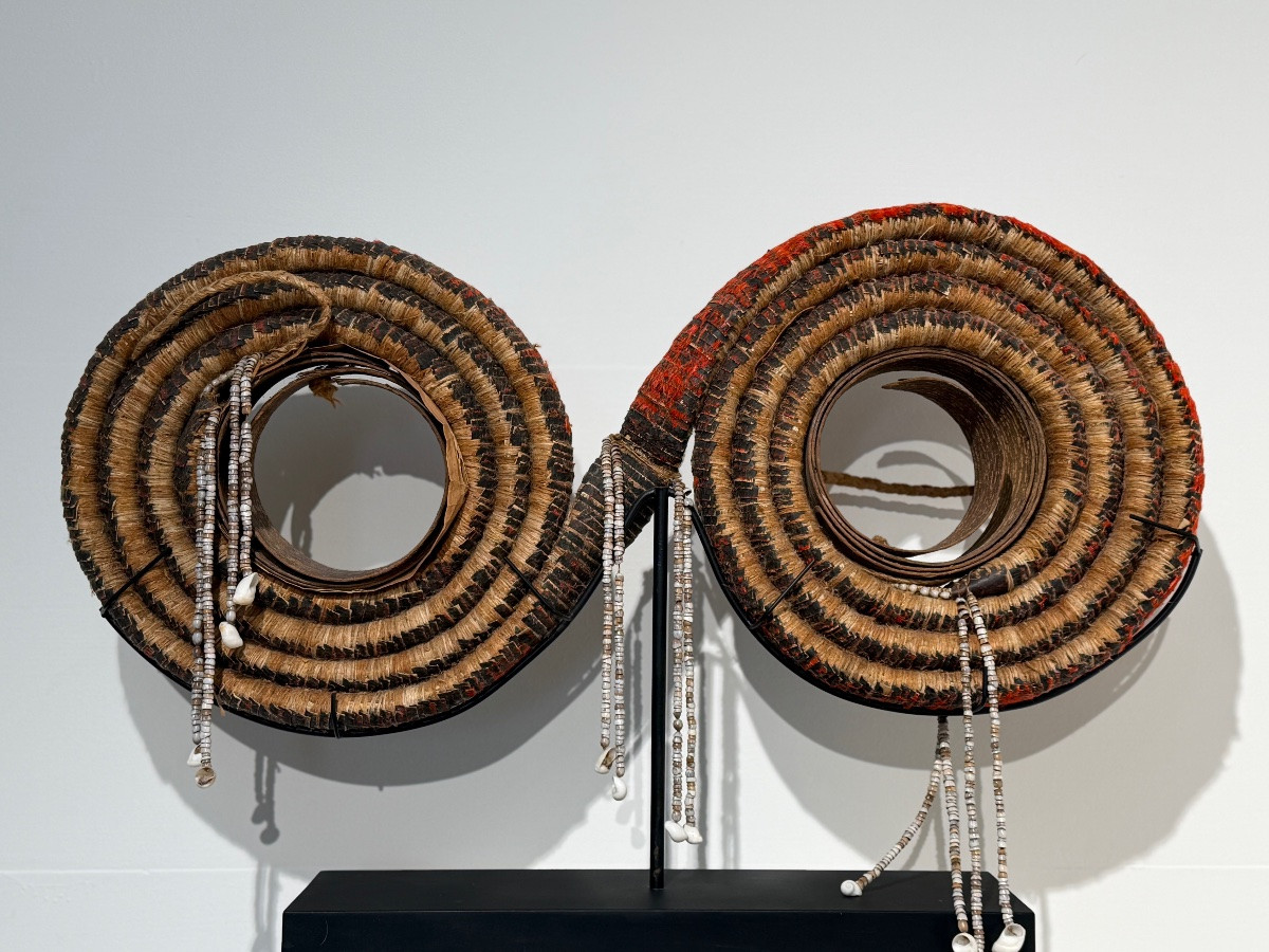 Le rare double role de la monnaie de plumes, Isles Solomon-photo-1