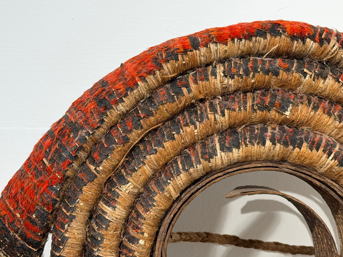 Le rare double role de la monnaie de plumes, Isles Solomon-photo-3