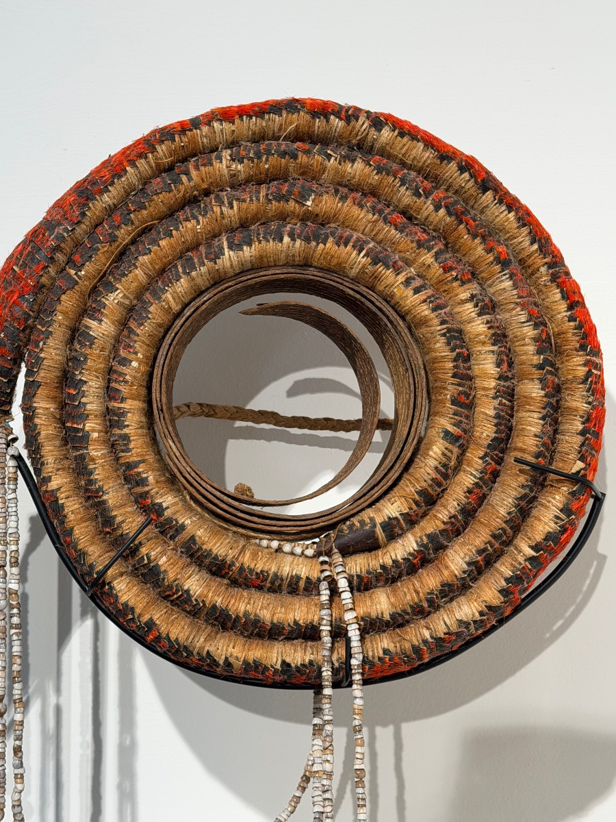 Le rare double role de la monnaie de plumes, Isles Solomon-photo-4