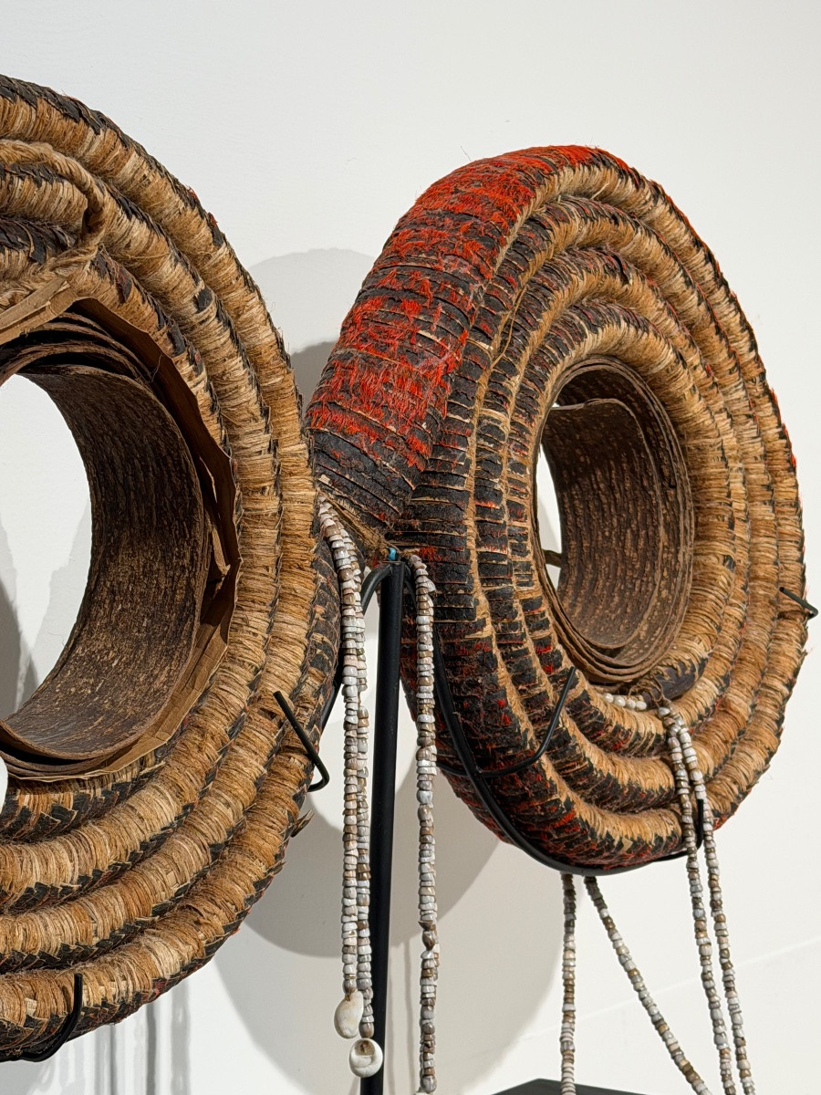 Le rare double role de la monnaie de plumes, Isles Solomon-photo-6