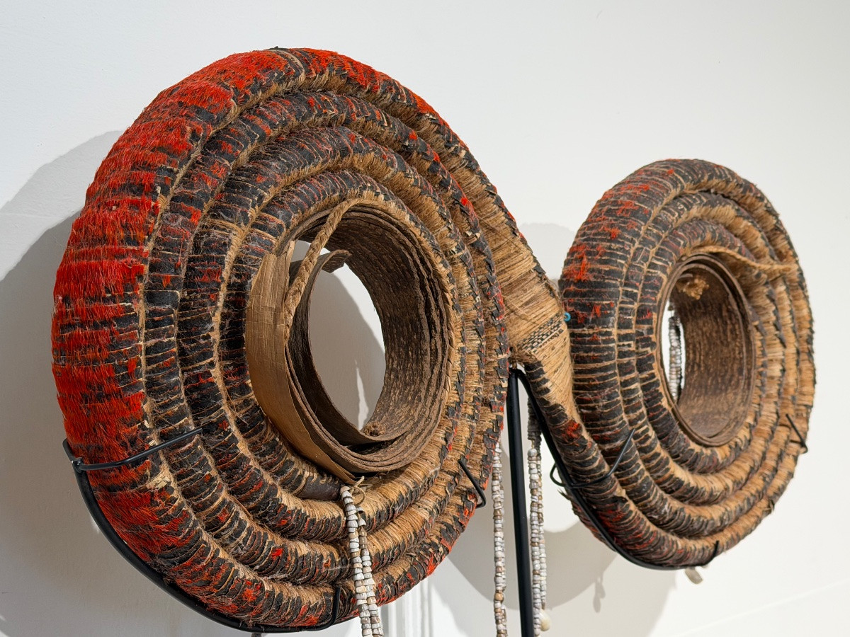 Le rare double role de la monnaie de plumes, Isles Solomon-photo-7