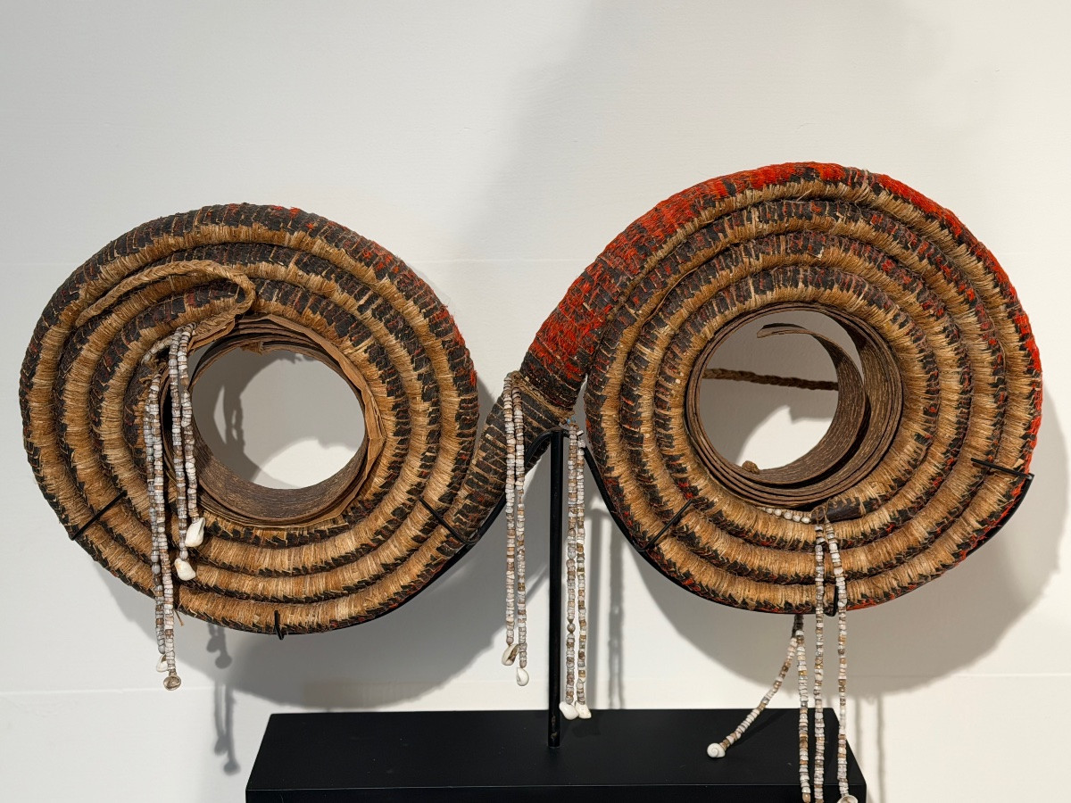 Le rare double role de la monnaie de plumes, Isles Solomon-photo-8