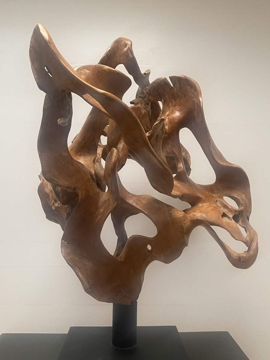 Racine de Teck-photo-3