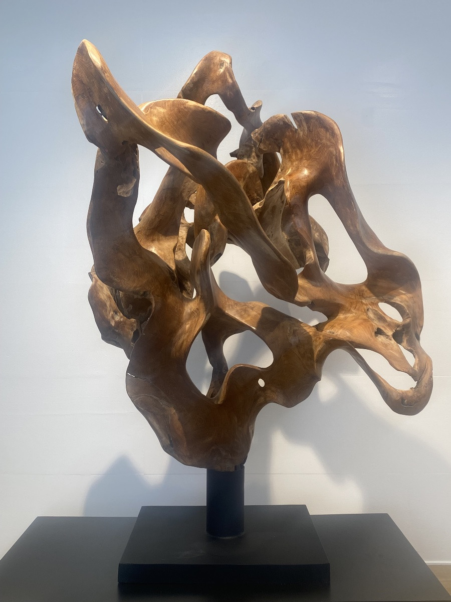 Racine de Teck-photo-4