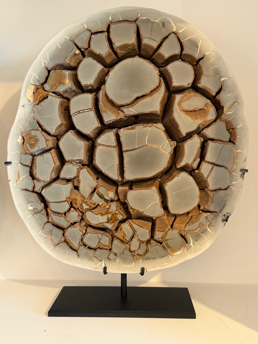 Septaria Concretion-photo-3