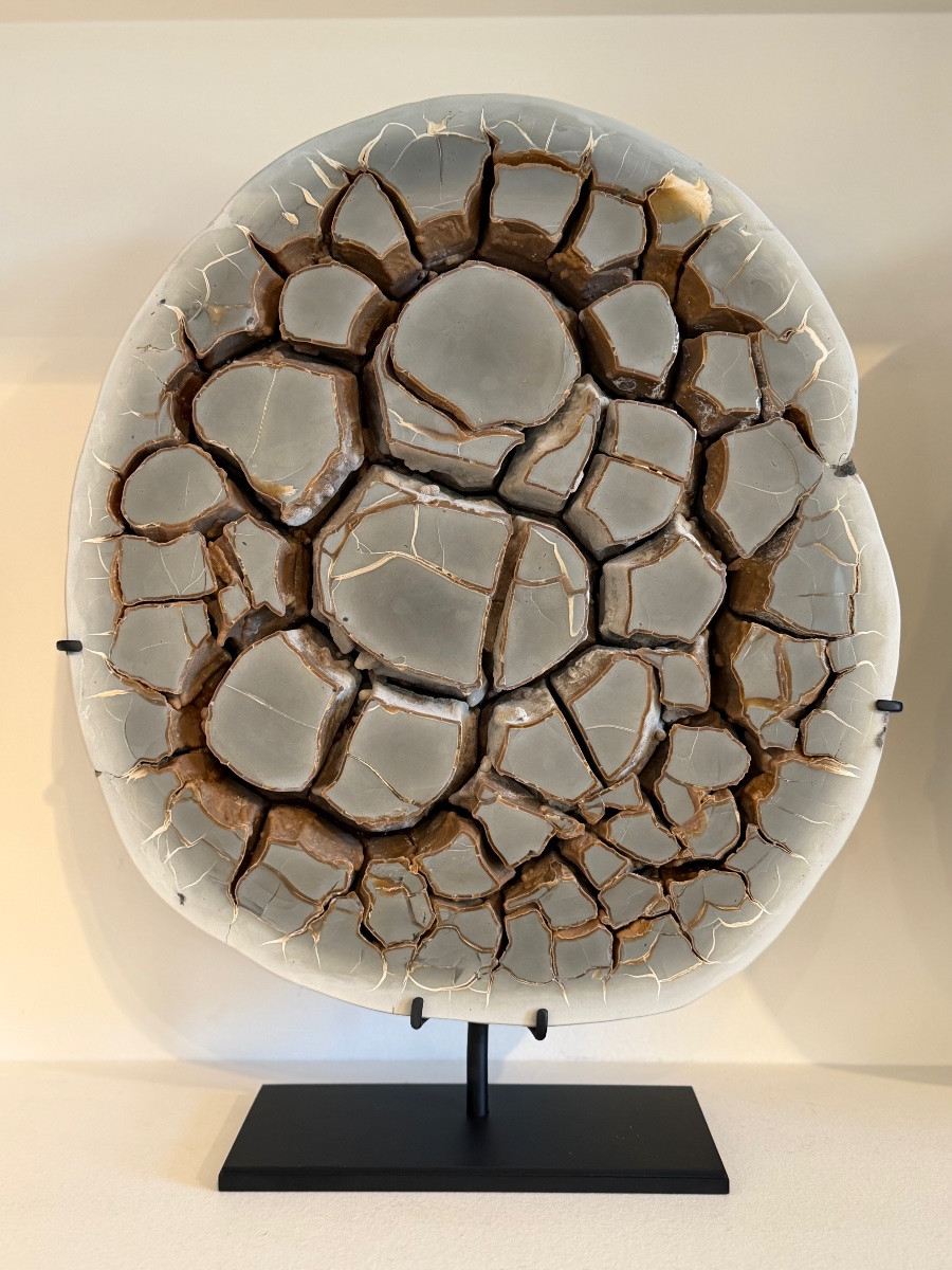 Septaria Concretion-photo-4