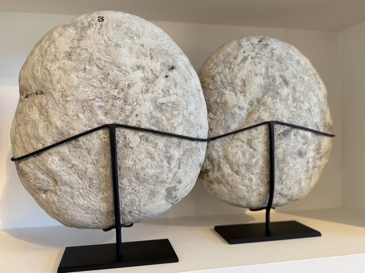 Septaria Concretion-photo-2