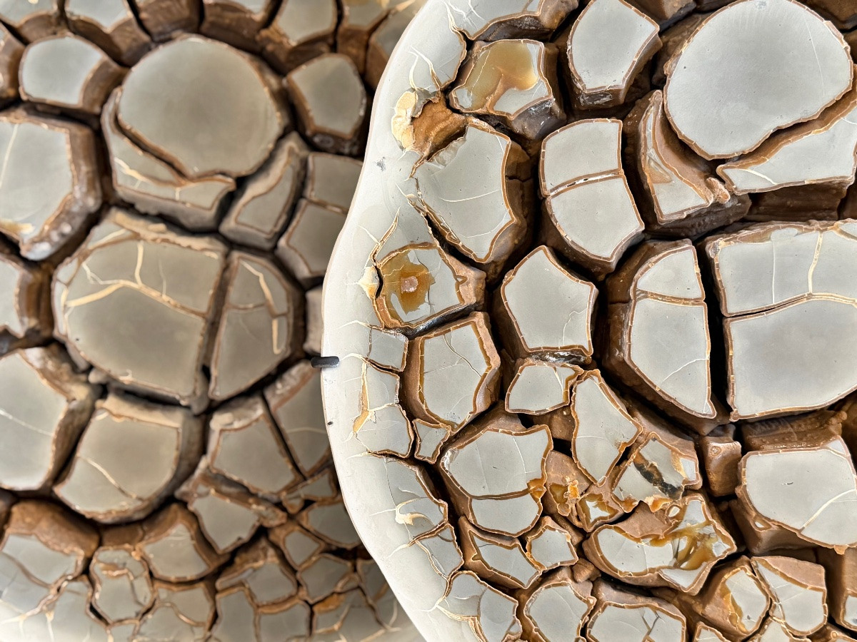 Septaria Concretion-photo-3