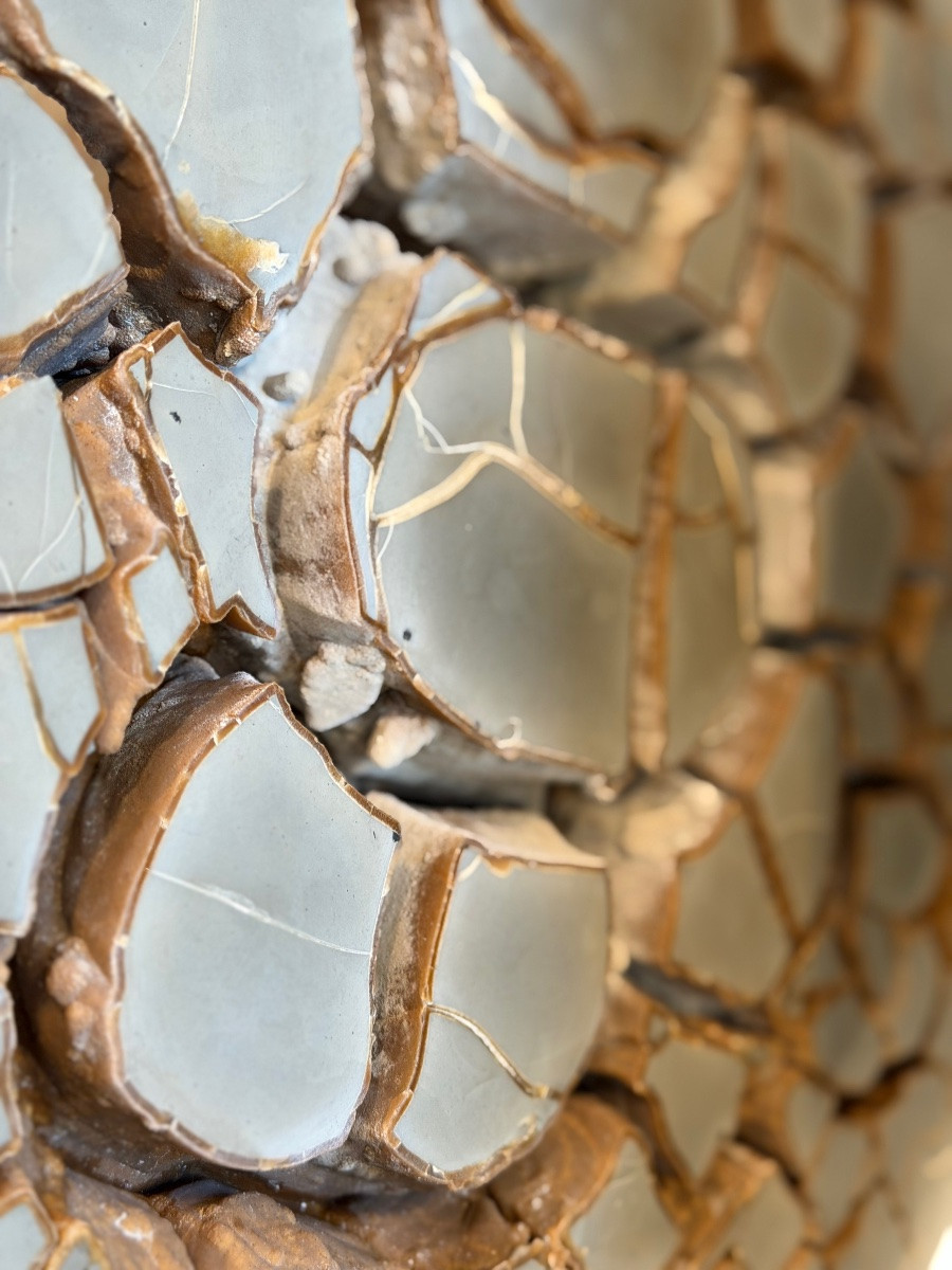 Septaria Concretion-photo-5