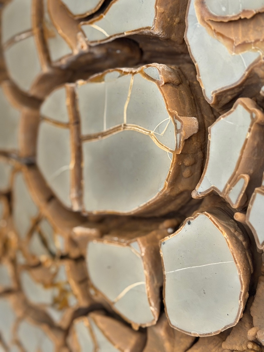 Septaria Concretion-photo-6