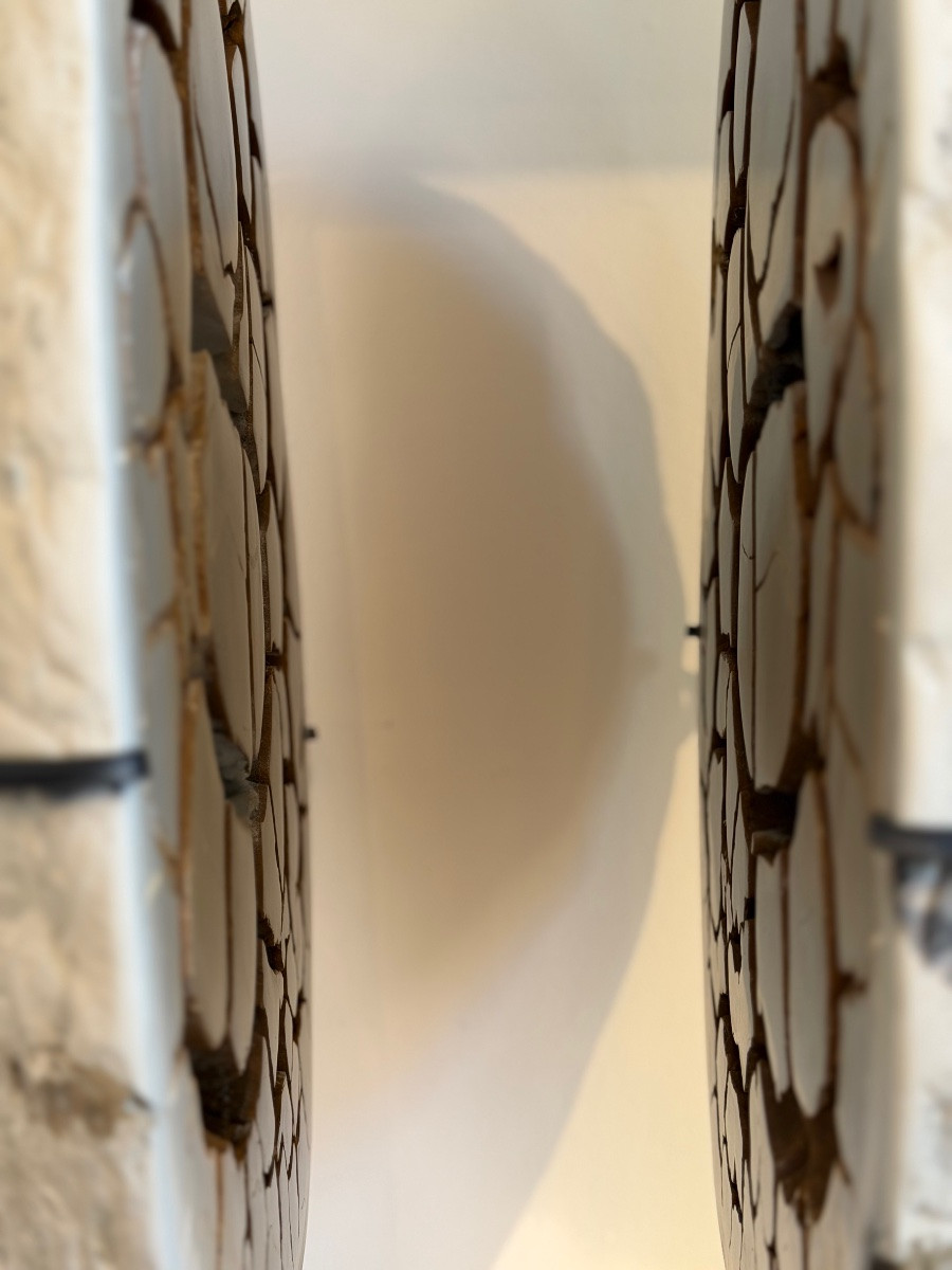 Septaria Concretion-photo-7
