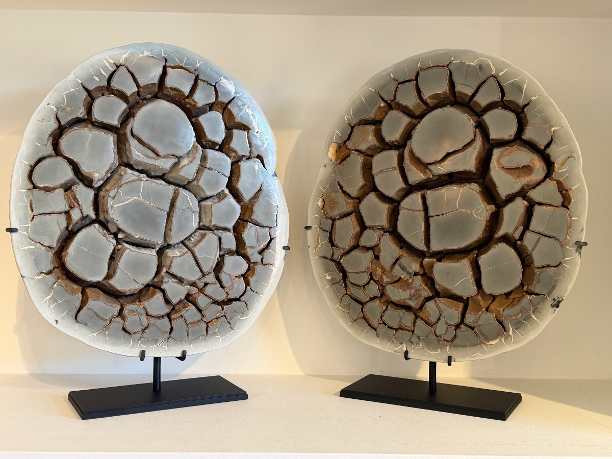 Septaria Concretion-photo-8