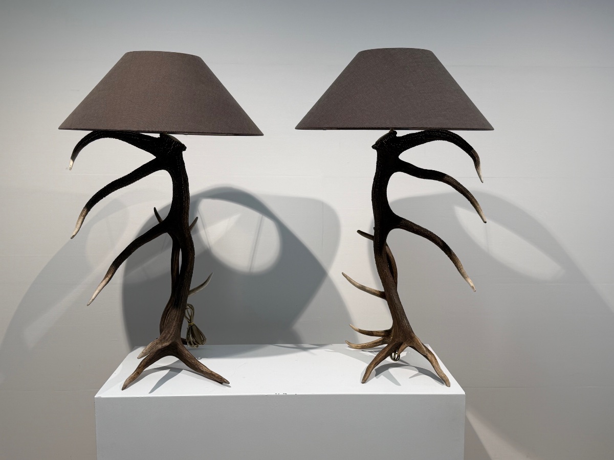Paire de Lampadaires-photo-2