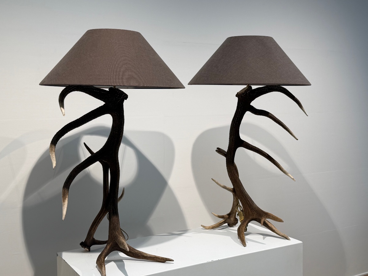 Paire de Lampadaires-photo-4