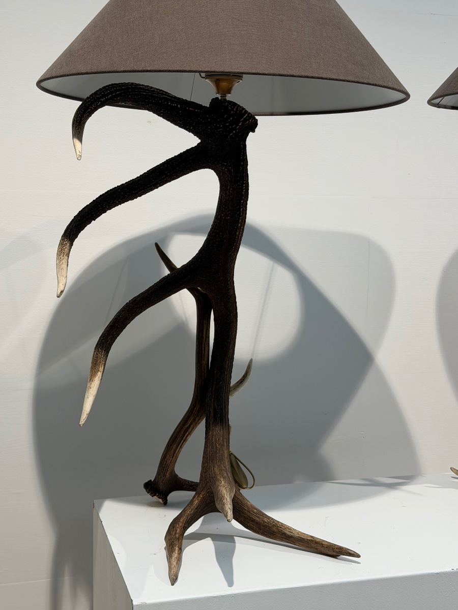 Paire de Lampadaires-photo-1