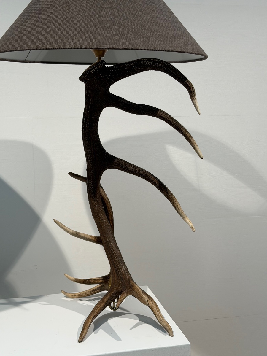 Paire de Lampadaires-photo-2