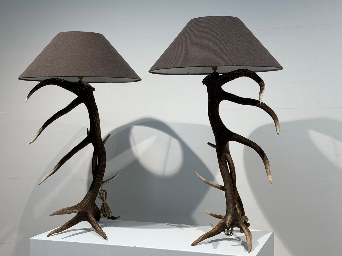 Paire de Lampadaires-photo-3