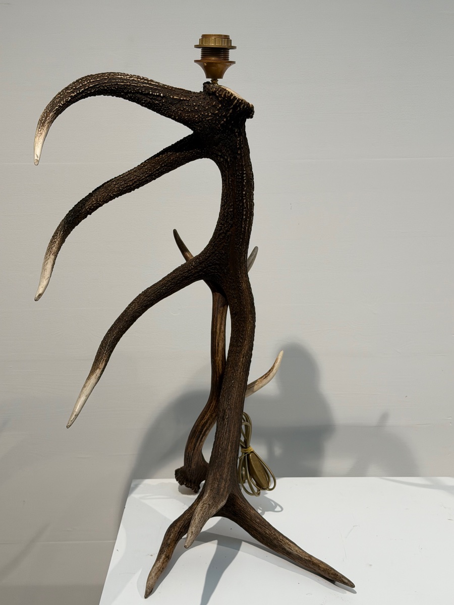Paire de Lampadaires-photo-6