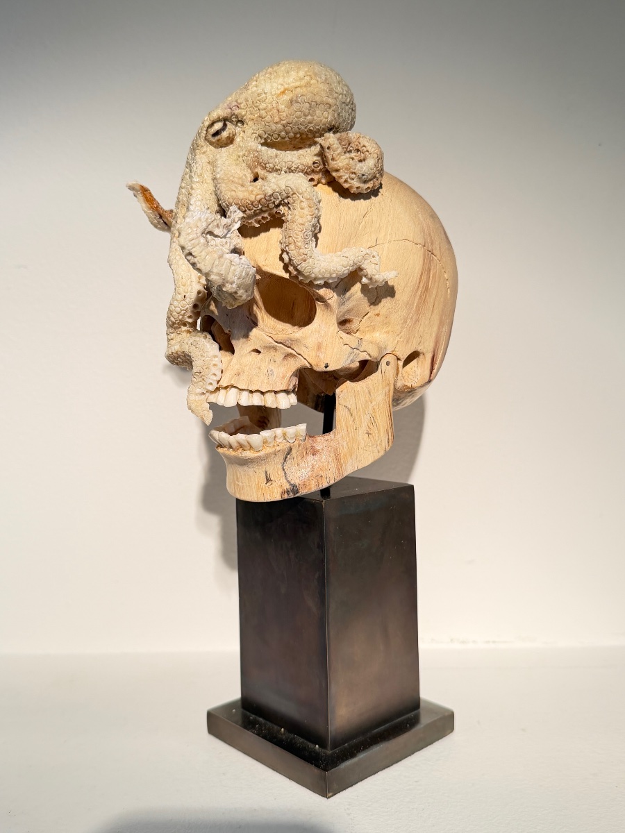 Memento Mori-photo-3
