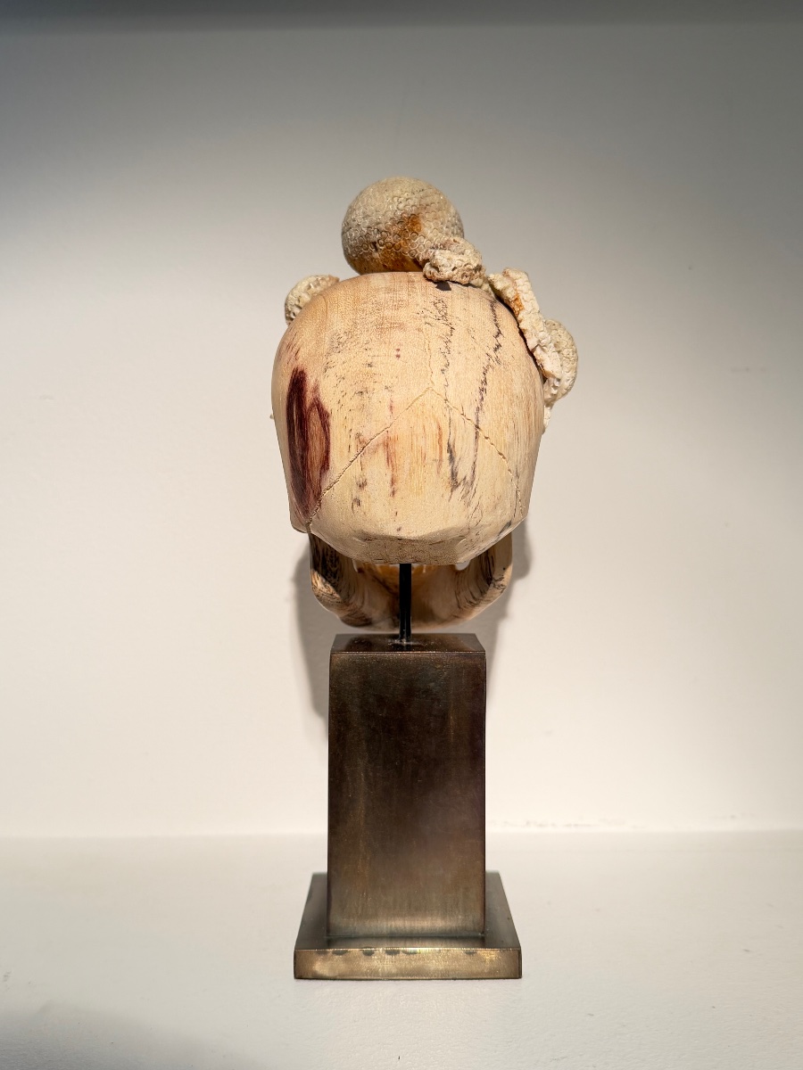 Memento Mori-photo-4