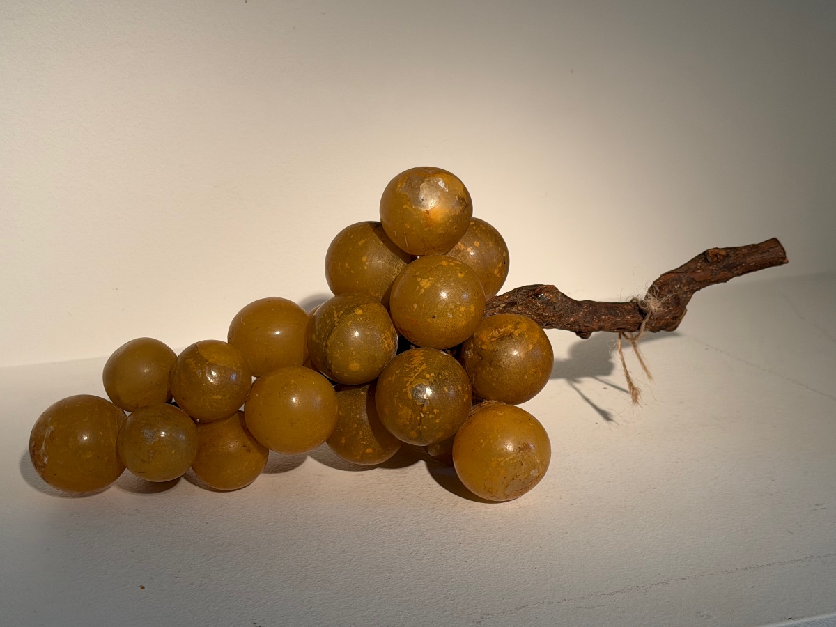 Grappe de  raisin-photo-2