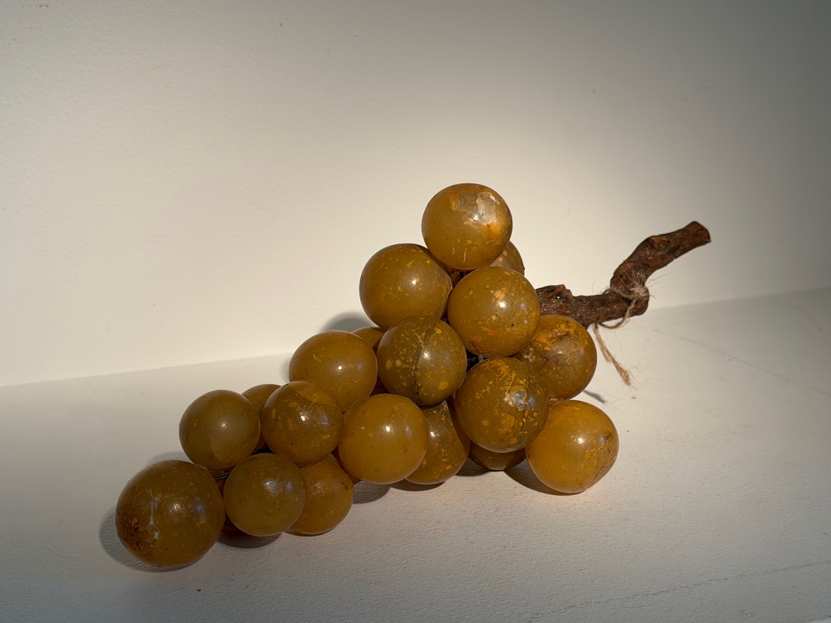 Grappe de  raisin-photo-3