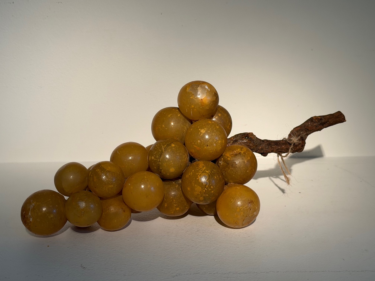 Grappe de  raisin-photo-4