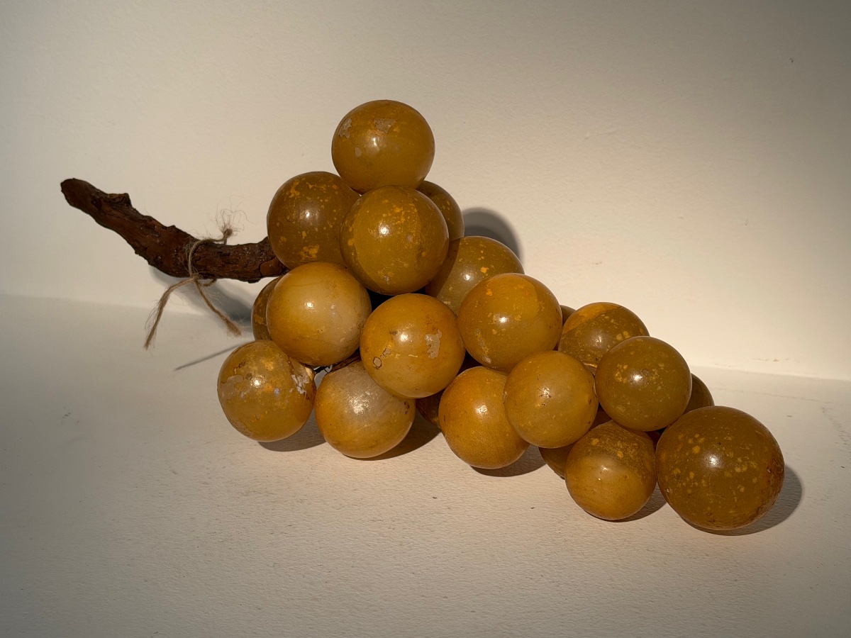 Grappe de  raisin-photo-1