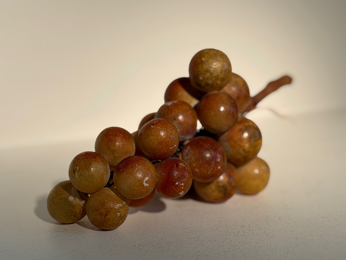 Vintage grappe de raisins-photo-3