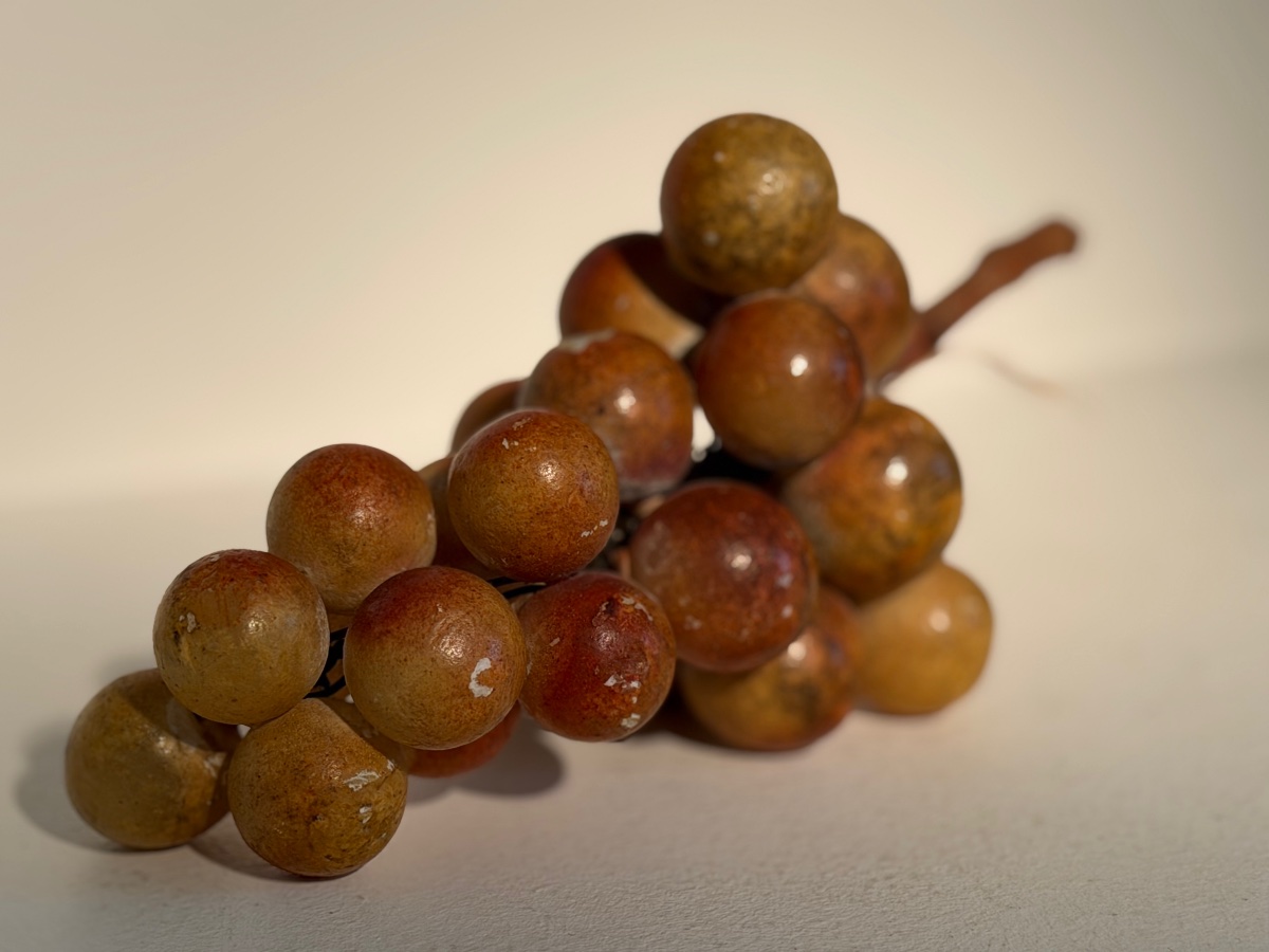Vintage grappe de raisins-photo-4