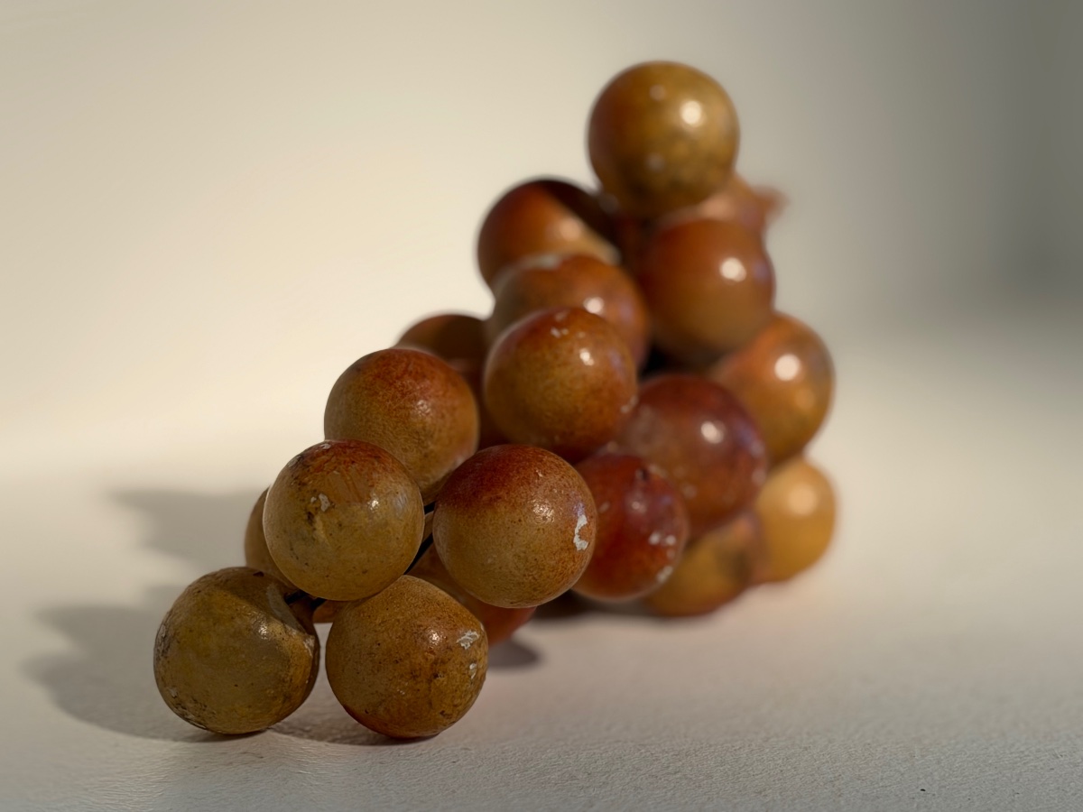 Vintage grappe de raisins-photo-3