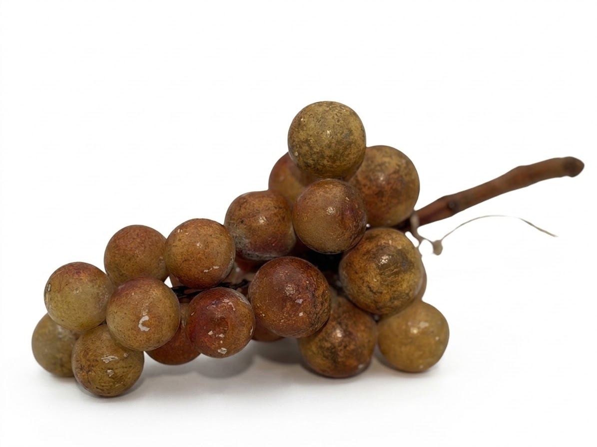 Vintage grappe de raisins