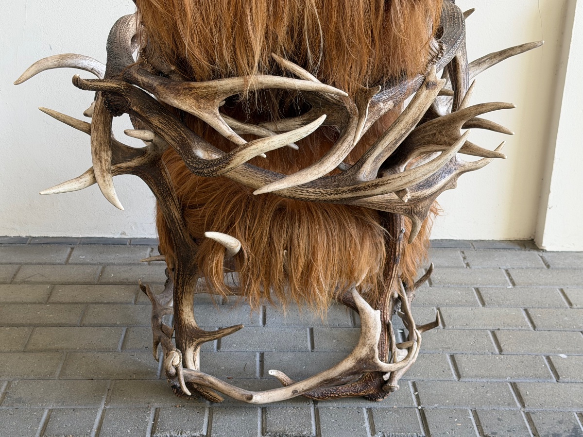 Black Forest Chair-photo-2