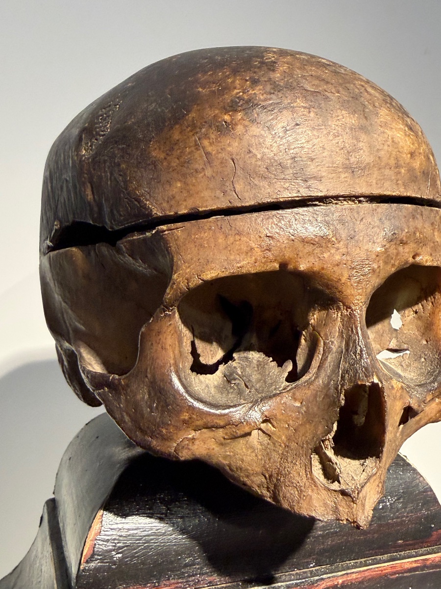 Ancient Anatomical Human Skull-photo-2